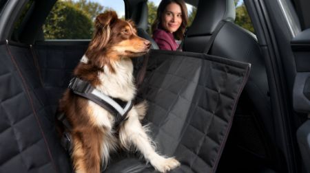 Imagen para la categoría Mascotas