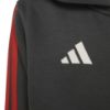 Imagen de CHAQUETA AUDI F1 FAN JOVEN XS/S