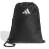 Imagen de GYMBAG AUDI FAN F1